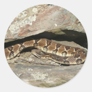 Sticker Rond Crotale dans le parc national de Shenandoah
