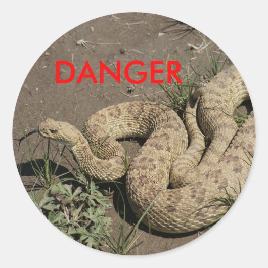 Sticker Rond Crotale des prairies R6 (Devant)