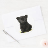 Sticker Rond Cube panthère noire avec grands yeux (Enveloppe)