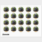 Sticker Rond Cuisine Black Labrador Retriever Chien Chiot Chiot (Feuille)