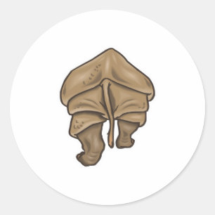 Sticker Rond cul de rhinocéros