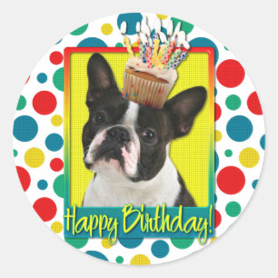 Sticker Rond Cupcake anniversaire - Boston Terrier
