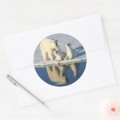 Sticker Rond Curieuse famille d'ours polaires (Enveloppe)