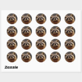 Sticker Rond Curieux Photo Raccoon (Feuille)