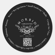 Curiosités Morbides Os Vautour Culture Taxidermie