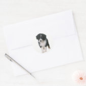 Sticker Rond Cute Aussie Chiot Amoureux des chiens Australian S (Enveloppe)