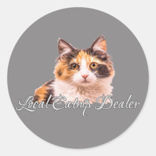 Sticker Rond Cute Big Eyes Calico Kitten Concessionnaire local