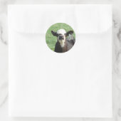 Sticker Rond Cute Calf (Sac)