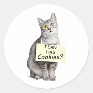 Sticker Rond Cute Cat me demande si je peux avoir des cookies?
