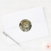 Sticker Rond Cute Cheetah (Enveloppe)