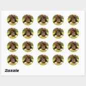 Sticker Rond Cute chocolat Labrador Custom (Feuille)