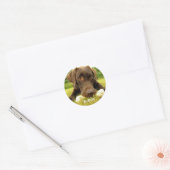 Sticker Rond Cute chocolat Labrador Custom (Enveloppe)
