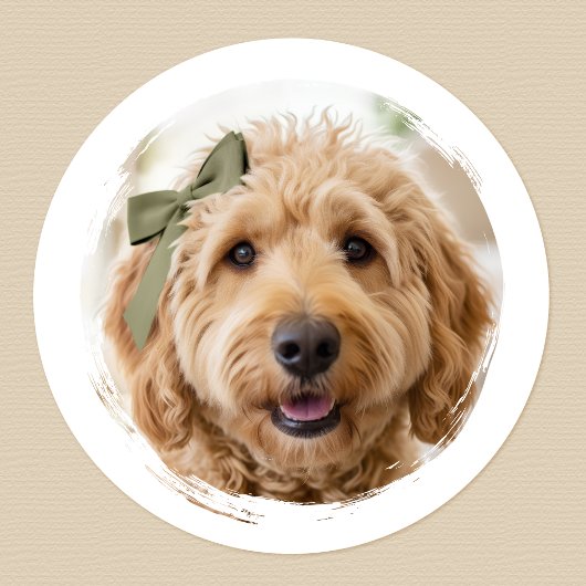 Sticker Rond Cute Custom Photo Dog Pet Modern Printed