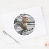 Sticker Rond Cute écureuil terrestre Nature Photo (Enveloppe)