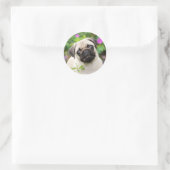 Sticker Rond Cute Fawn couleur Carlin Chien Chien Chien Chien P (Sac)