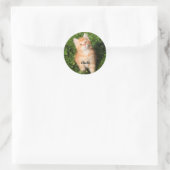 Sticker Rond Cute Fluffé Orange Tabby Chat Kitten (Sac)