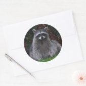Sticker Rond Cute Forest Raccoon Photo Faune (Enveloppe)