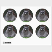 Sticker Rond Cute Forest Raccoon Photo Faune (Feuille)