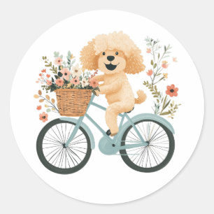 Sticker Rond Cute Goldendoodle Chien Vélo Fleurs de printemps