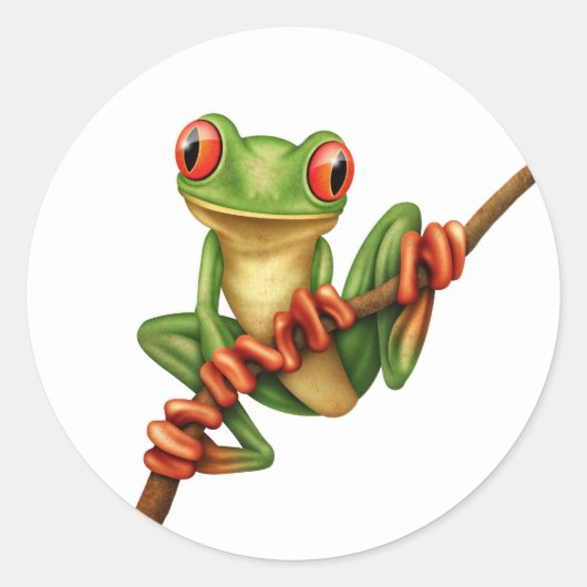 Sticker Rond Cute grenouille verte sur une branche sur blanc (Devant)
