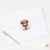 Sticker Rond Cute Highlands Scottish Cow (Enveloppe)