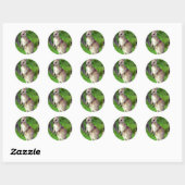 Sticker Rond Cute jeune Kangaroo (Feuille)