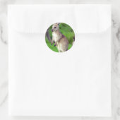 Sticker Rond Cute jeune Kangaroo (Sac)