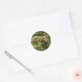 Sticker Rond Cute Kinglet Songbird Causes Stir in the Fir (Enveloppe)