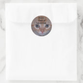 Sticker Rond Cute Kitten (Sac)