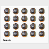 Sticker Rond Cute Kitten noir et blanc (Feuille)