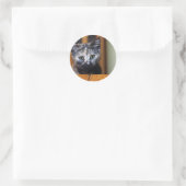 Sticker Rond Cute Kitten noir et blanc (Sac)