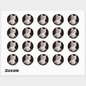 Sticker Rond Cute Kittens (Feuille)