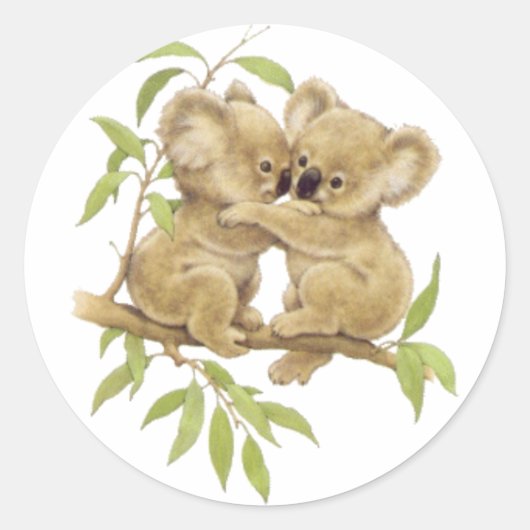 Sticker Rond Cute Koalas (Devant)