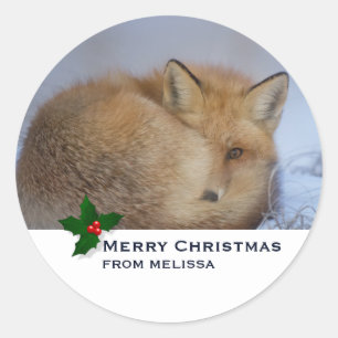 Sticker Rond Cute Little Fox Curling Up Winter Photo Noël