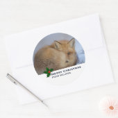 Sticker Rond Cute Little Fox Curling Up Winter Photo Noël (Enveloppe)