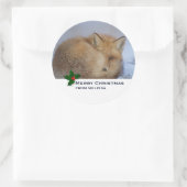 Sticker Rond Cute Little Fox Curling Up Winter Photo Noël (Sac)