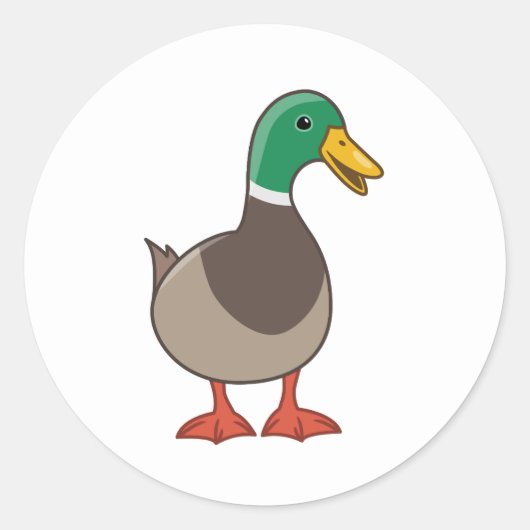 Sticker Rond Cute Mallard Duck (Devant)