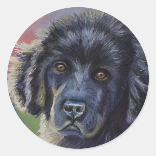 Sticker Rond Cute Newfoundland Puppy Dog Art - (Devant)