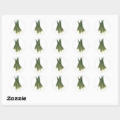 Sticker Rond Cute Okra (Feuille)