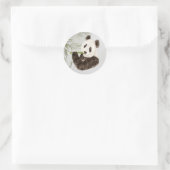 Sticker Rond Cute Panda Ours asiatique Animal Bambou Faune (Sac)