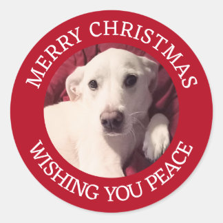 Sticker Rond Cute Puppy Dog Merry Christmas Peace Red