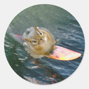Sticker Rond Cute Surfing Chipmunk