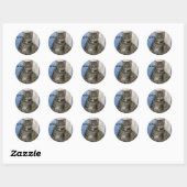 Sticker Rond Cute tabby Chat (Feuille)