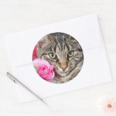 Sticker Rond Cute Tabby Chat Avec Rose (Enveloppe)