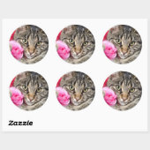 Sticker Rond Cute Tabby Chat Avec Rose (Feuille)