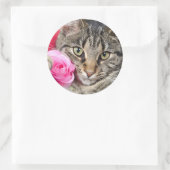 Sticker Rond Cute Tabby Chat Avec Rose (Sac)