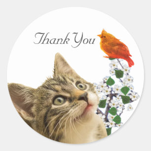 Sticker Rond Cute Tabby Chat, Fleurs et Petit Merci d'oiseaux C