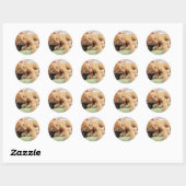 Sticker Rond Cute Tiger Stripe Kitten (Feuille)