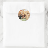 Sticker Rond Cute Tiger Stripe Kitten (Sac)