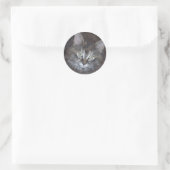Sticker Rond Cute Torbie Kitten (Sac)
